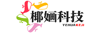 椰婳科技